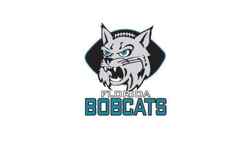 Ժɫʵףϻ^ĈD鄓(chung)BOBCATS־OӋ