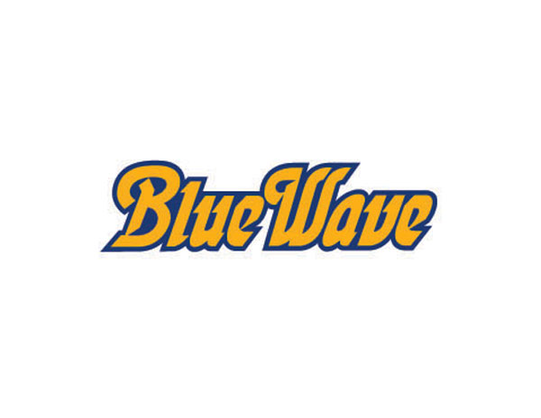Bluewave{(ln)ɫ۞ưLOGOO(sh)Ӌ(j)/