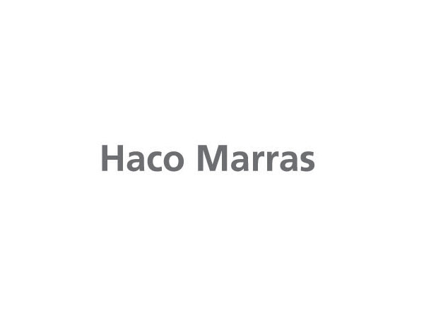 Haco MarrasЈԃ˾LOGOO(sh)Ӌ